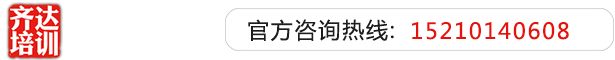 啊啊啊鸡巴好大视频齐达艺考文化课-艺术生文化课,艺术类文化课,艺考生文化课logo